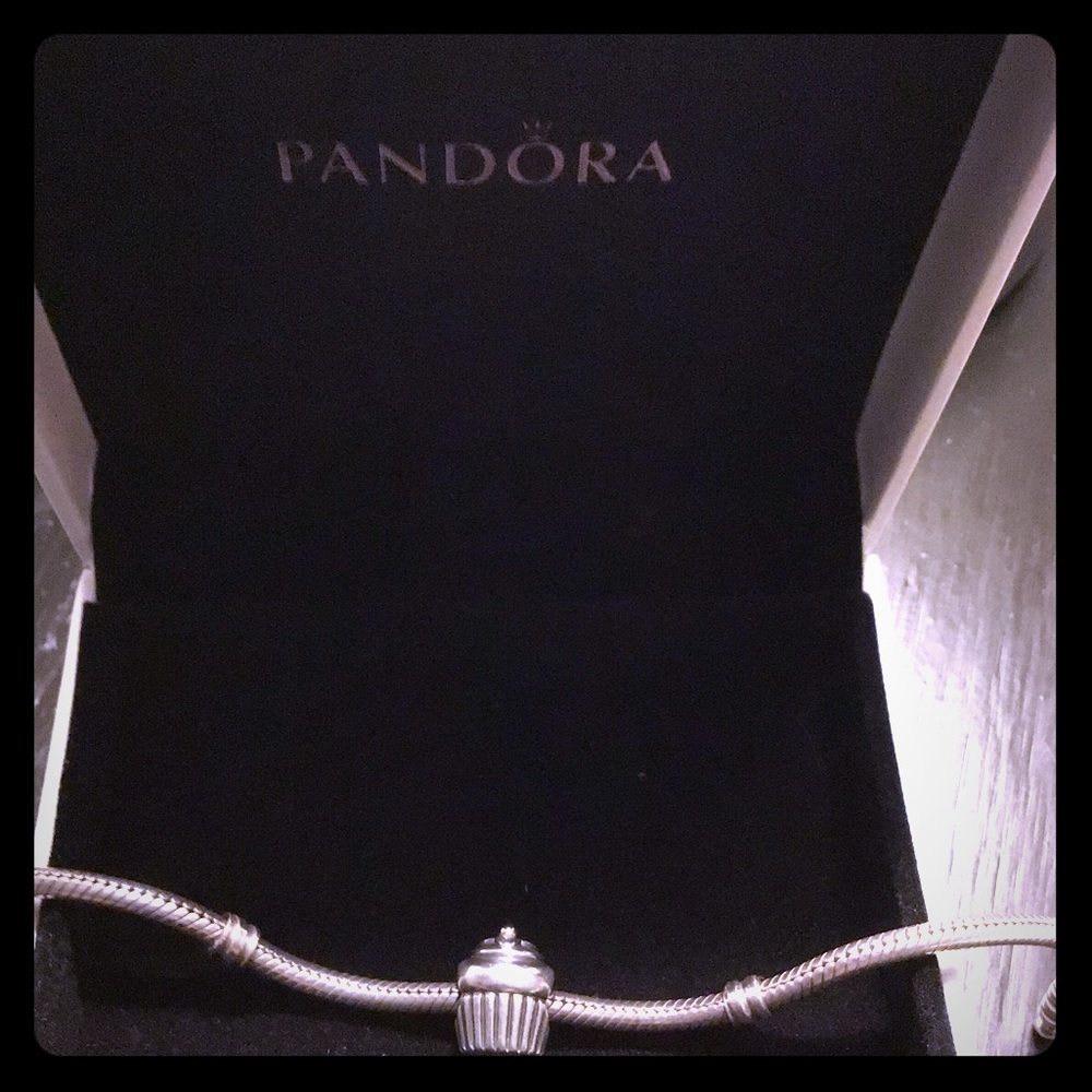 Pandora Cupcake Charm
